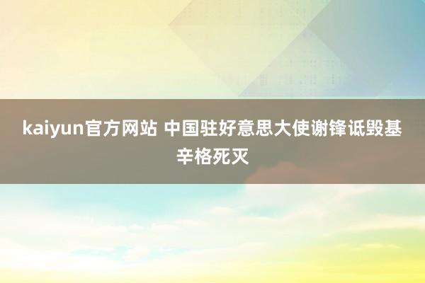 kaiyun官方网站 中国驻好意思大使谢锋诋毁基辛格死灭