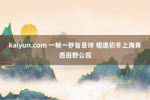 kaiyun.com 一帧一秒皆是诗 相逢初冬上海青西田野公园