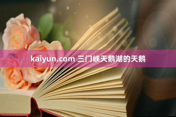 kaiyun.com 三门峡天鹅湖的天鹅