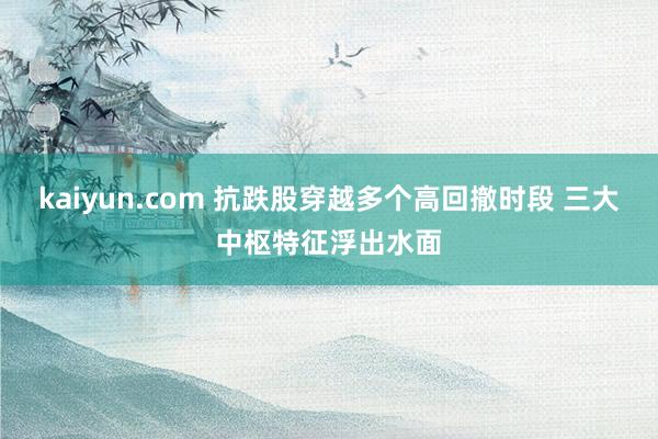 kaiyun.com 抗跌股穿越多个高回撤时段 三大中枢特征浮出水面