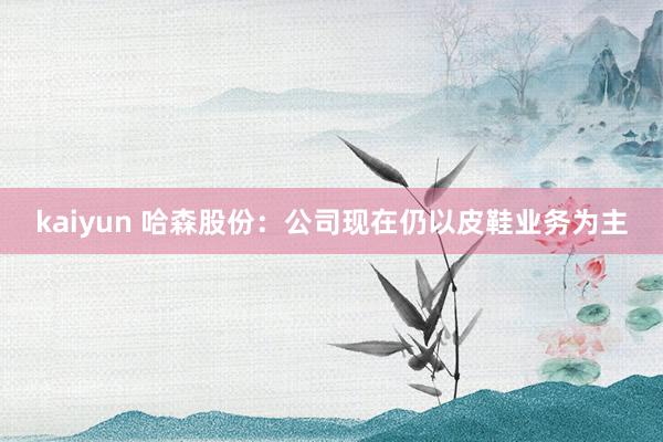 kaiyun 哈森股份：公司现在仍以皮鞋业务为主