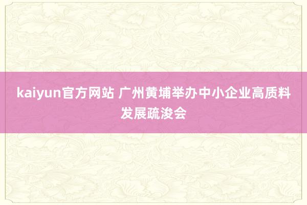 kaiyun官方网站 广州黄埔举办中小企业高质料发展疏浚会